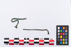 Foto von Bronzeschwanenhalsnadel (NHMW-PRAE-035778)